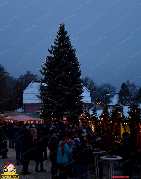 Rauenn-Weihnachtsmarkt20-013