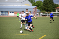 Pneu-A-Schoeneiche-228