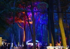 spreebote-19-Rock-für-den-Wald-112