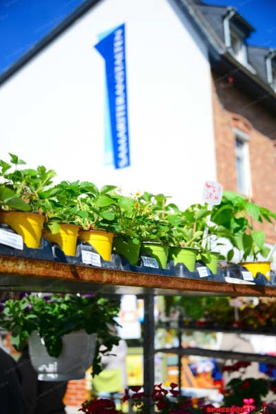 Sama-Christophorus-Shop-004