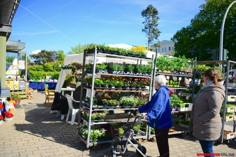 Sama-Christophorus-Shop-006