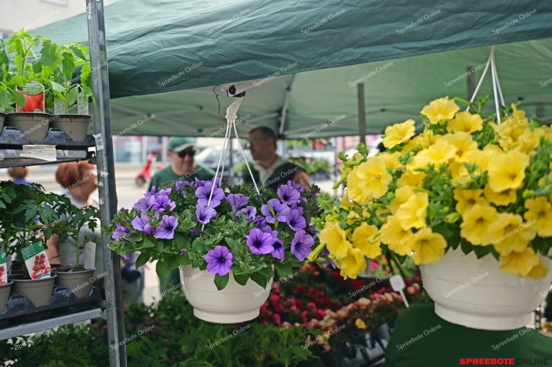 Samariter-Fruhlingsbasar-001