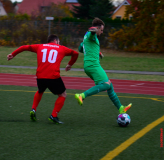 Schnellstes-Tor-der-Liga-13