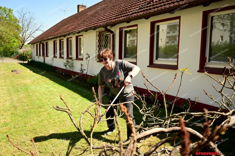 SG-Gaselan-2.Fruhjarsputz-002