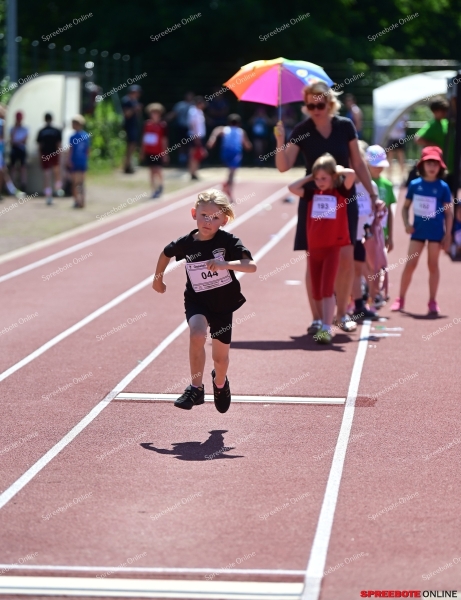 SG-Gaselan-Cup-Leichtathletik-022