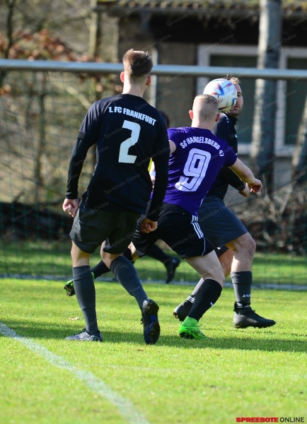 SG-Hangelsberg-1.FC-Frankfurt-004