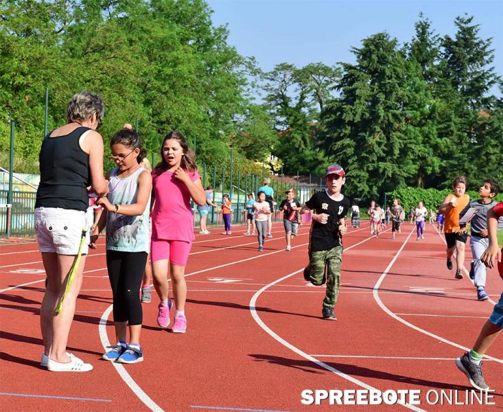 Siegmund-Jaehn-Spendenlauf-7