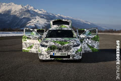 spreebote-auto-NEW-SKODA-FABIA-2