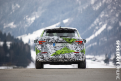 spreebote-auto-NEW-SKODA-FABIA-4