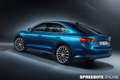 spreebote-Skoda-Oki-Limo-Neu-1