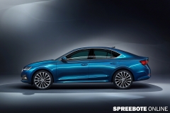 spreebote-Skoda-Oki-Limo-Neu-2