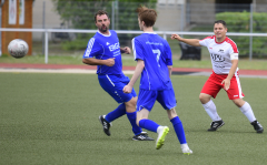 Pneu-II-Steinhoefel-148