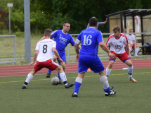 Pneu-II-Steinhoefel-25HA