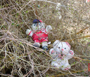 SPD-Waldaufraeumaktion-3-scaled