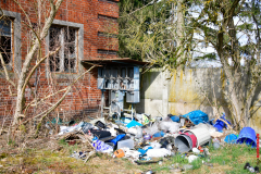 SPD-Waldaufraeumaktion-4-scaled