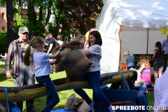 02Stadtfest-Fuewa-31