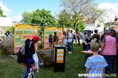 02Stadtfest-Fuewa-46