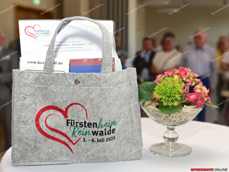 Stadt-Fuwa-Gaste-Reinheim-005