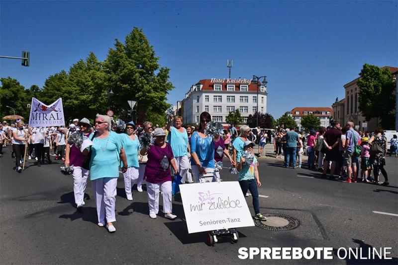stadtfest-fuewa-17