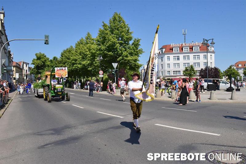 stadtfest-fuewa-28