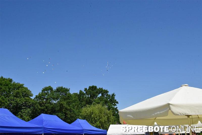 stadtfest-fuewa-33