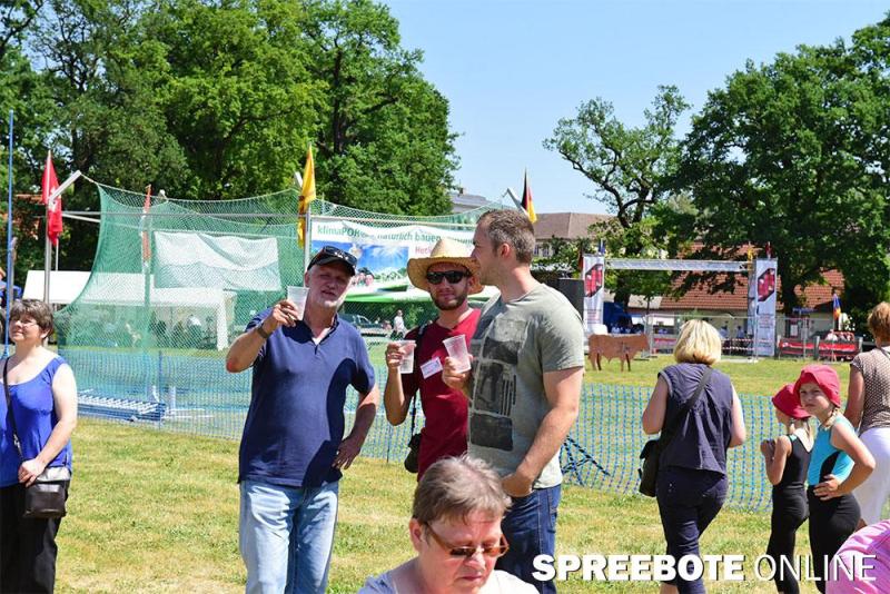 stadtfest-fuewa-34