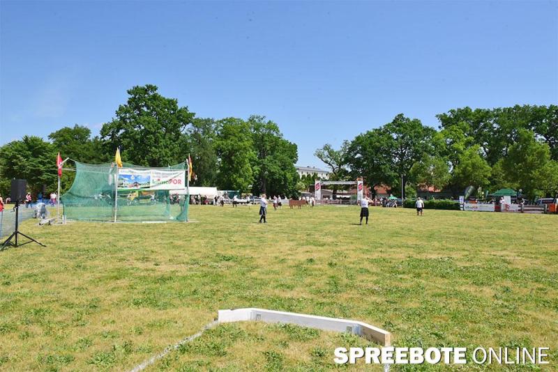 stadtfest-fuewa-39