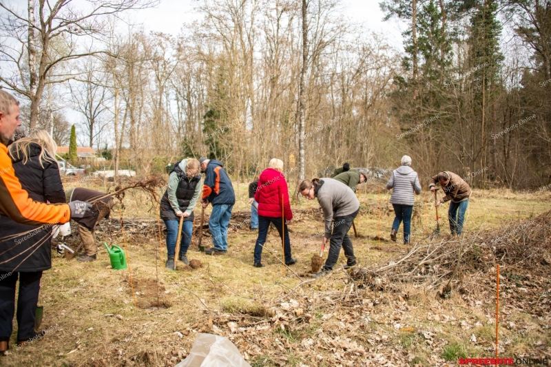 Spreebote-Starke-Gemeinschaft-am-Werk_gallery1_04