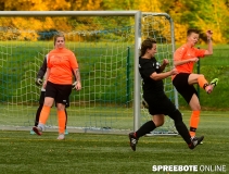 spreebote-Frauen-Steinhoefel-Tauche-260