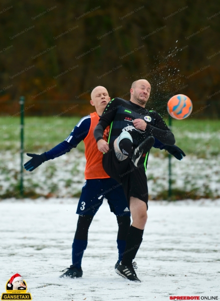 Steinhofel-II-SG-Lichtenow3Akagel-006