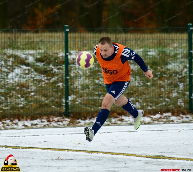 Steinhofel-II-SG-Lichtenow3Akagel-012