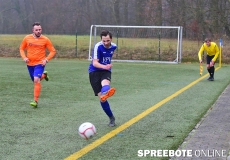 Steinhöfel-Pneumant-5