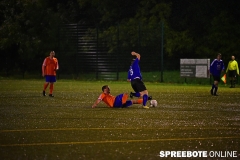 spreebote-Steinhoefel-Pneumant-219