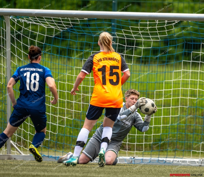 Spreebote-Steinhofel-verpasst-erneut-Pokalfinale_gallery1_06