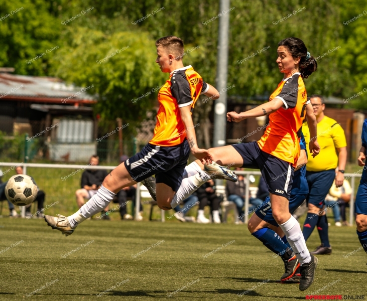Spreebote-Steinhofel-verpasst-erneut-Pokalfinale_gallery1_29