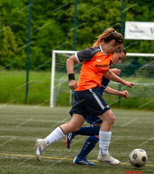 Spreebote-Steinhofel-verpasst-erneut-Pokalfinale_gallery1_39