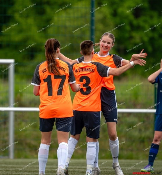 Spreebote-Steinhofel-verpasst-erneut-Pokalfinale_gallery1_41