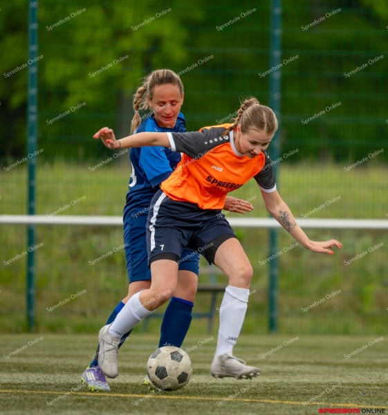 Spreebote-Steinhofel-verpasst-erneut-Pokalfinale_gallery1_55