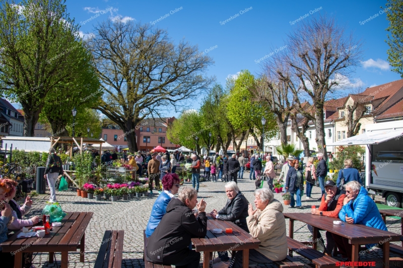 Spreebote-Storkow-bluht-auf_gallery1_01