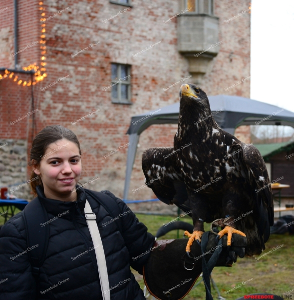 Storkow-Burg-Weihnachtsmarkt-002