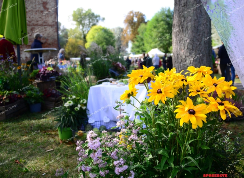 Storkow-Burgfest-002