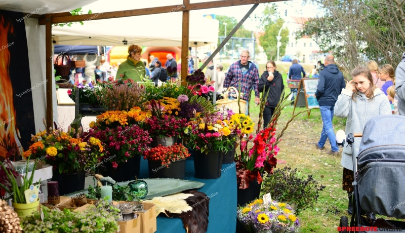 Storkow-Burgfest-012