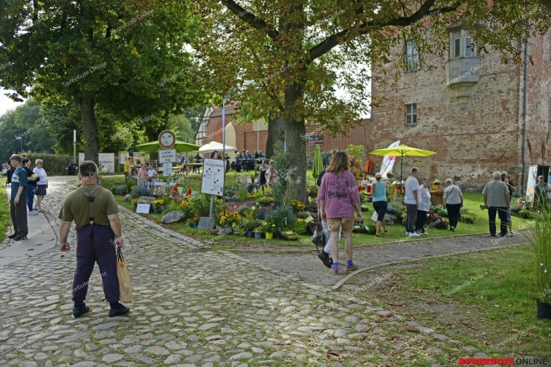 Spreebote-Storkow-Hoffest-001