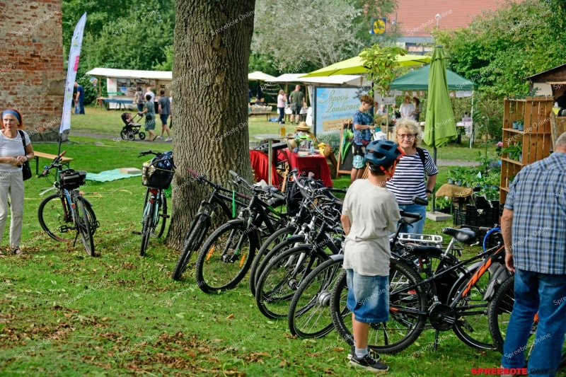 Spreebote-Storkow-Hoffest-012