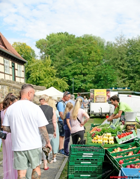 Spreebote-Storkow-Hoffest-019