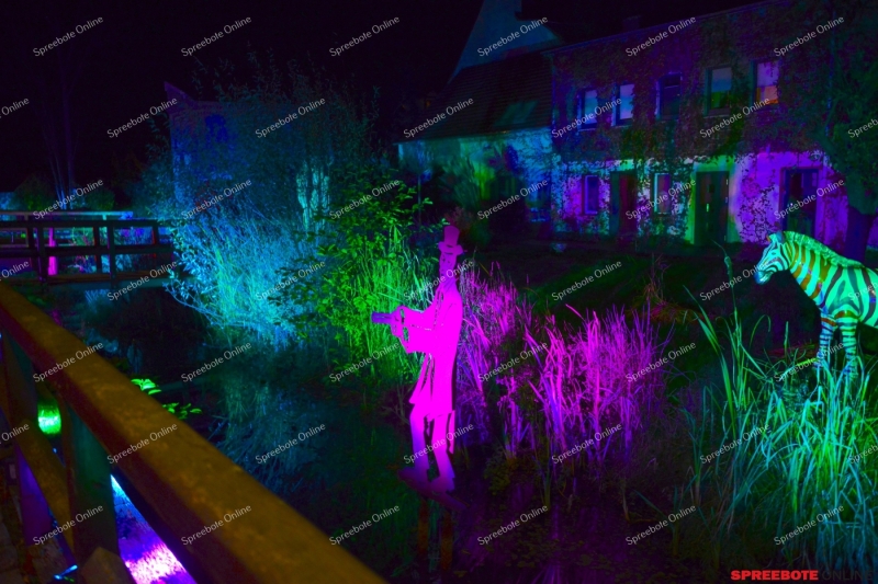 Storkow-Leuchtet-Toleranz-007