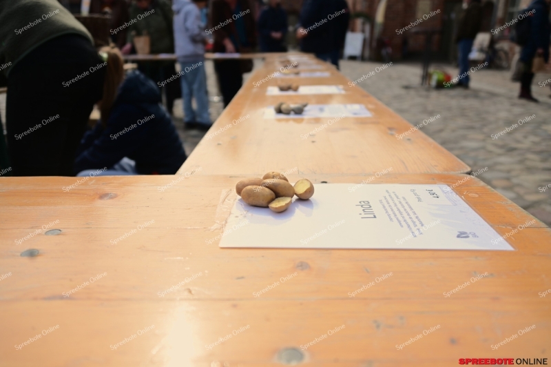 Storkow-Pflanzen-Borse-001