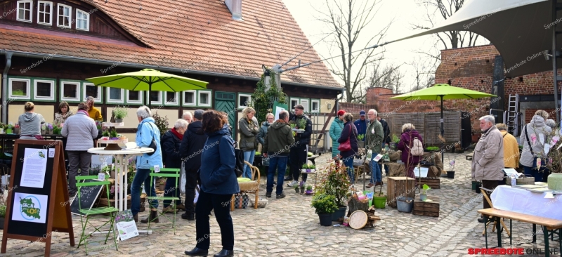 Storkow-Pflanzen-Borse-003