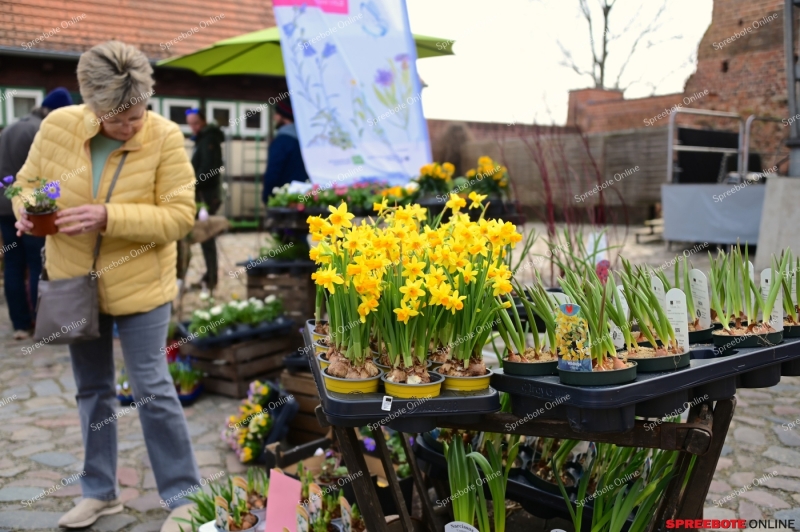 Storkow-Pflanzen-Borse-004