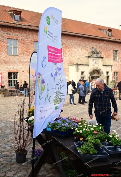 Storkow-Pflanzen-Borse-005